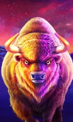 Buffalo King Megaways